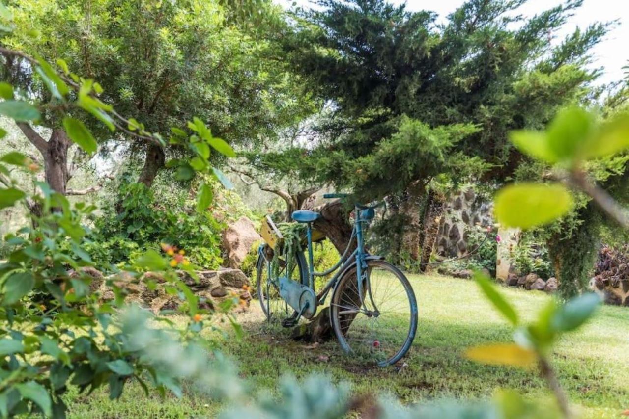 Villa Con Immenso Giardino Orosei Luaran gambar